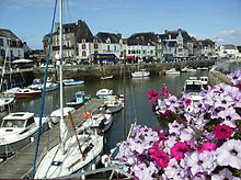 Vue d’un port avec arrière-plan de maisons bretonnes et premier plan de pétunias blancs et roses
