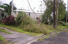 Photo taken by a resident in Edmonton, an outer suburb of Cairns in the aftermath of the storm, on 20 March 2006. Cyclone Larry damage in Edmonton 3.jpg