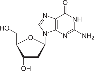 <span class="mw-page-title-main">Deoxyguanosine</span> Chemical compound