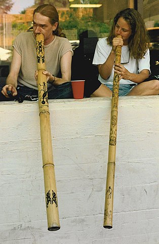 Didgeridoo - Wikipedia