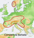 Mapa de distribución Campanula barbata.png