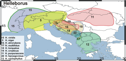 Distribution map helleborus europe2(2).png