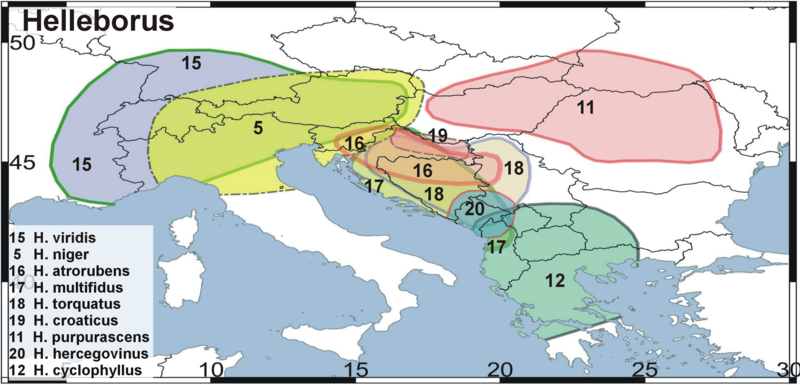 File:Distribution map helleborus europe2(2).png