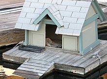 A doghouseboat on the Charles River in Cambridge, Massachusetts, US Doghouse1.jpg