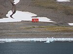 Ecuador claim Admiralty Bay King George Island Coral Princess Antarctica.jpg