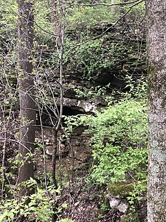 Elbow Cave u Columbiji, Missouri (proljeće 2020) .jpg