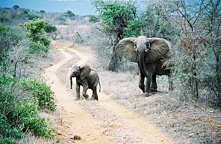 Tsavo East National Park National park in Kenya