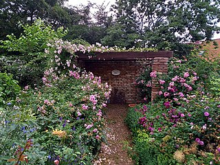 <span class="mw-page-title-main">Mulberry Garden (Režný Újezd)</span>