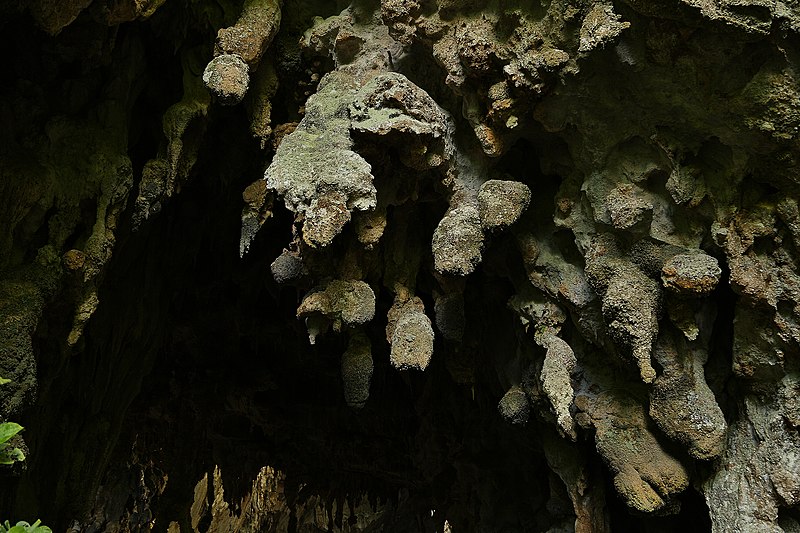 File:Espeleotemas na Caverna Temimina - Foto Antonio Bordignon.jpg