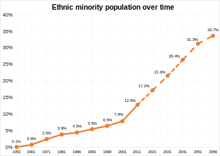 Ethnic minority population (non-whites)