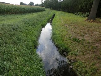 Die Flöthe zwischen Fiestel und dem Mittellandkanal, rund 2 km vor der Mündung in die Große Aue