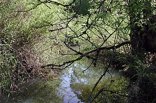 Fanno Creek River in Oregon, United States