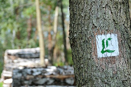 Farbmarkierung Logo Lutherweg