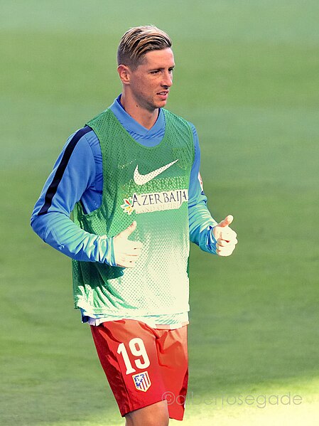 File:Fernando Torres DEP-ATM 024 1200.jpg