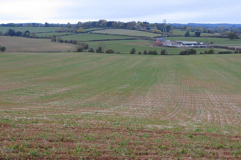 File:Field sloping down to the farm - geograph.org.uk - 5952653.jpg