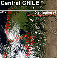 Pisipilt versioonist seisuga 4. juuni 2010, kell 09:36