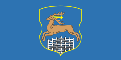File:Flag of Hrodna.svg