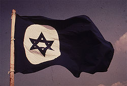 Flying the Jewish Flag.jpg