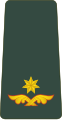 მაიორი Maiori (Georgian Land Forces)※