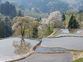 松代町 新潟県 Wikipedia