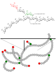 Nova SVG slika