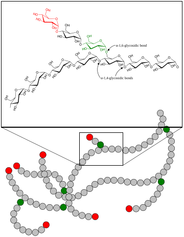 Branching (polymer chemistry)