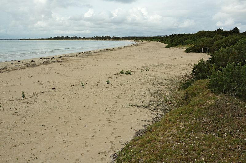 File:Greens-Beach-beach-20070419-019.jpg