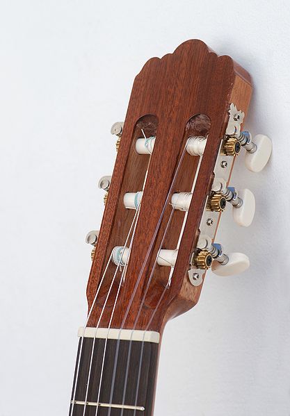 File:Guitar May 2009-1.jpg