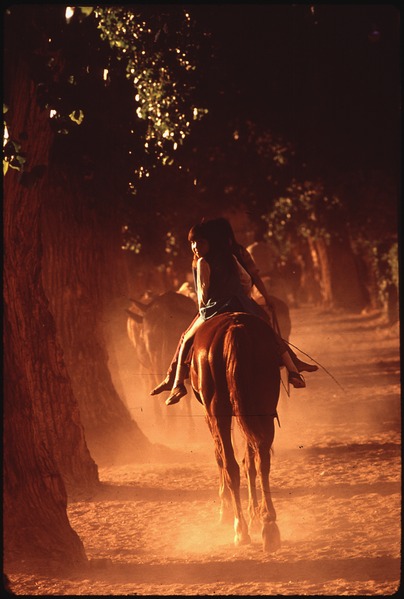 File:HAVASUPAI CAMPGROUND - NARA - 544414.tif