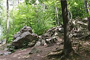 Haibach, Felsgruppe aus Biotit-Gneis am Wildpark, Naturdenkmal und Geotop 67A010