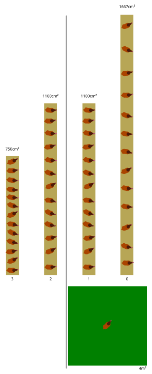 A diagram showing amount of m² per 13 hens for different levels: from 3 (left) to 0 (right).