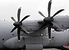 The feathered propellers of an RAF Hercules C.4