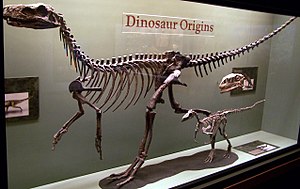 Dinosauria: Definición, Descripción, Descubrimiento e investigación