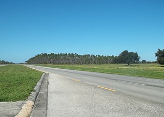 Holopaw State Forest Forest in Florida