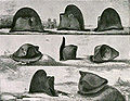 Carl von Steubens satiriske «Napoelons åtte epoker» fra 1826 viser hvordan den fremre spissen og den bakre tverrbremmen på en tradisjonell trekanthatt er blitt brettet helt opp slik at hatten blir høy og halvmåneformet og får to «snuter» i sidene.