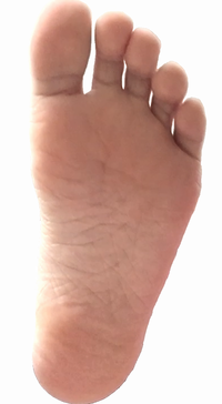 Human Right Sole.png