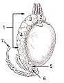 Vorschaubild der Version vom 14:26, 4. Nov. 2006