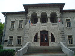 Ion Irimescu Art Museum.jpg