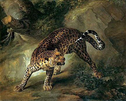 Jean-Baptiste Oudry Leopard, 1741.jpg