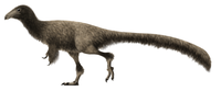 List Of Asian Dinosaurs