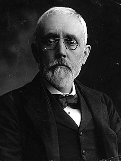 John Dillon Irish politician and the last leader of the Irish Parliamentary Party