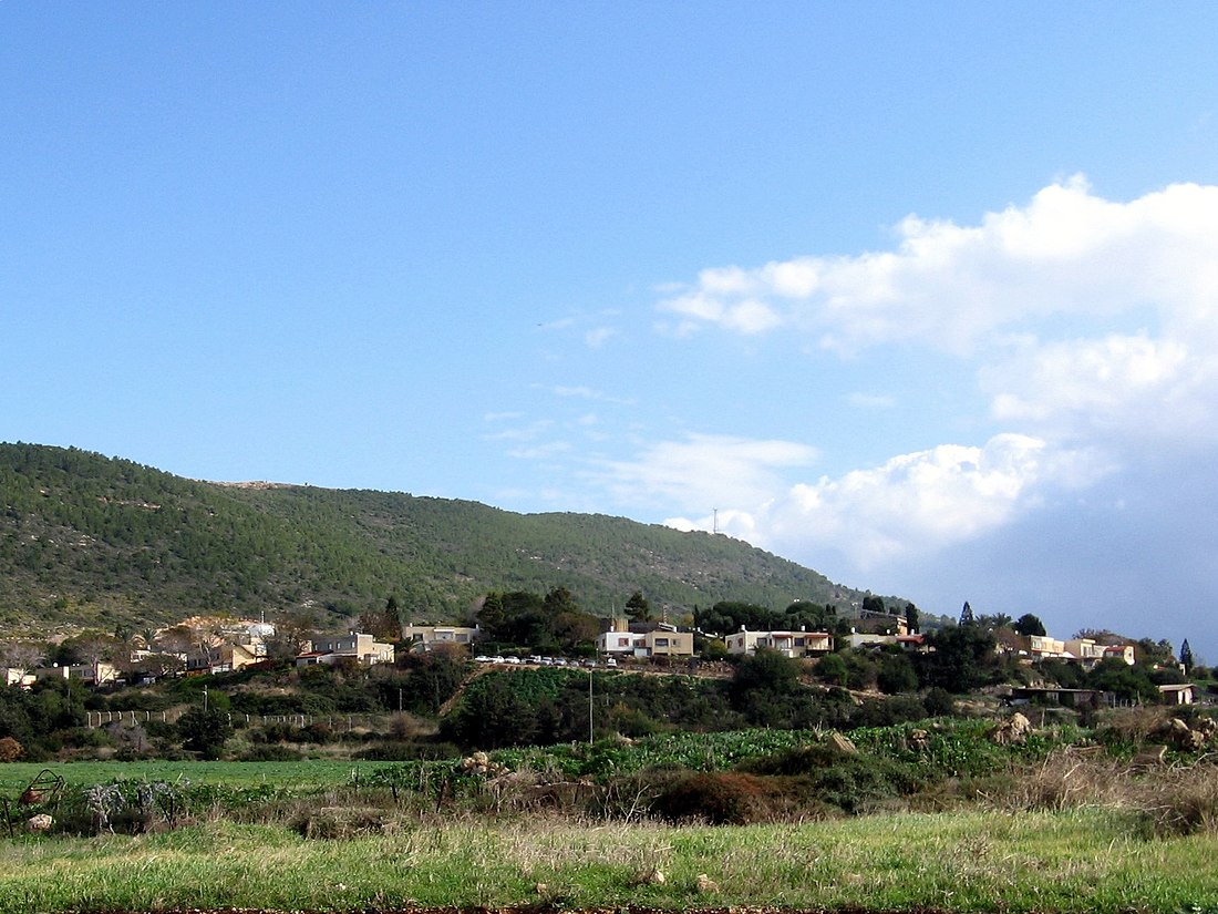 Rosh HaNikra (kibbutz)