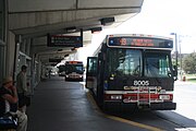 Kipling TTC bus bays.jpg