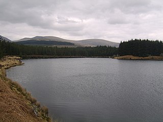 <span class="mw-page-title-main">Kirriereoch Loch</span> Freshwater loch in Dumfries and Galloway, Scotland