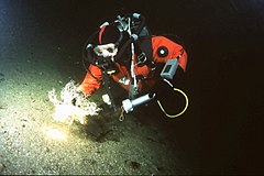 Kiss rebreather testing of the fully closed system with a basket star.