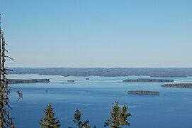 Koli 14052011 04.JPG