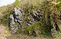 * Nomination Rock face made of gypsum stone in the “Kalkberg“ nature reserve (Lüneburg) --F. Riedelio 11:44, 8 May 2024 (UTC) * Critique requise