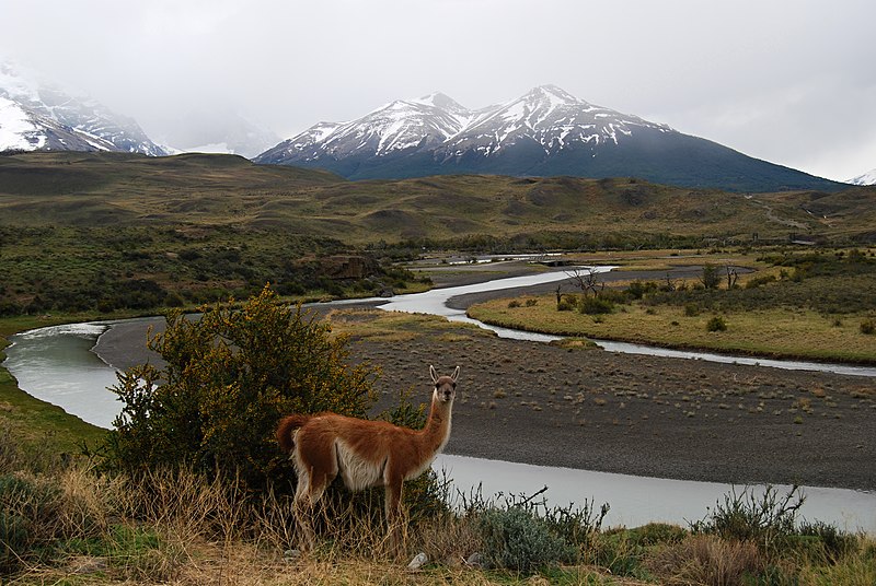 File:Laguna Amarga - autobusová zastávka a brána do Torres del Paine - panoramio.jpg