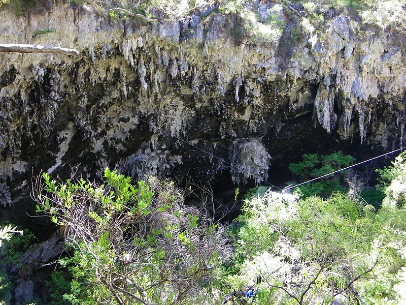 File:Lake Cave @ Margaret River (4450594138).jpg