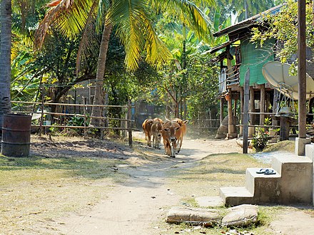 A Don Khong street scene